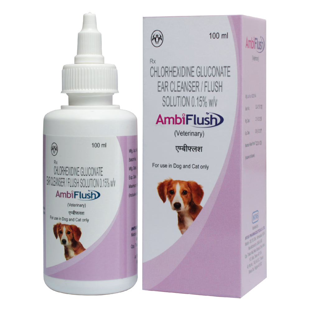 Intas Ambiflush Ear Cleanser for Dogs and Cats (100ml) Both-Pharmacy Intas Pharmacy