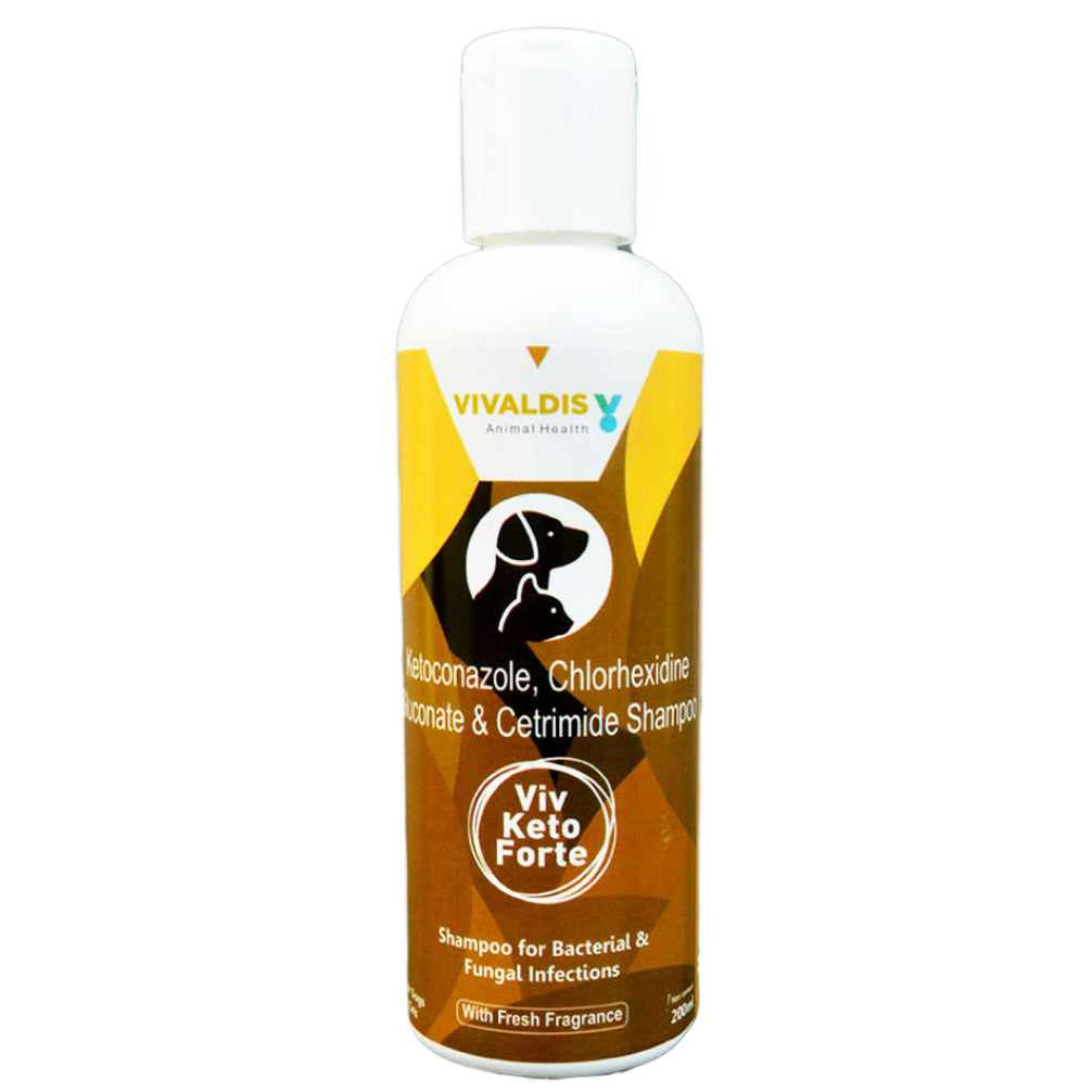Vivaldis Viv Keto Forte Shampoo (200ml) Both-Pharmacy Vivaldis Pharmacy