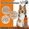 Ttk Hug n Wag Professional 4 in 1 Essential Care Shampoo with Pro Vitamin B5 for Dogs Dogs-Pharmacy TTK Pharmacy