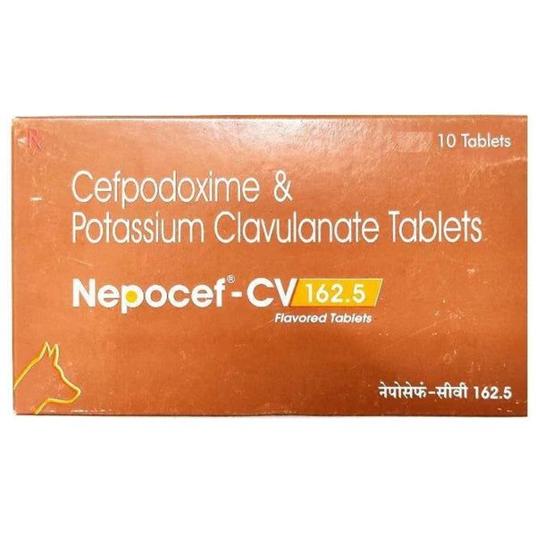 Ttk Nepocef CV 162.5mg (Cefpodoxime Proxetil & Potassium Clavulanate) Tablet for Dogs and Cats