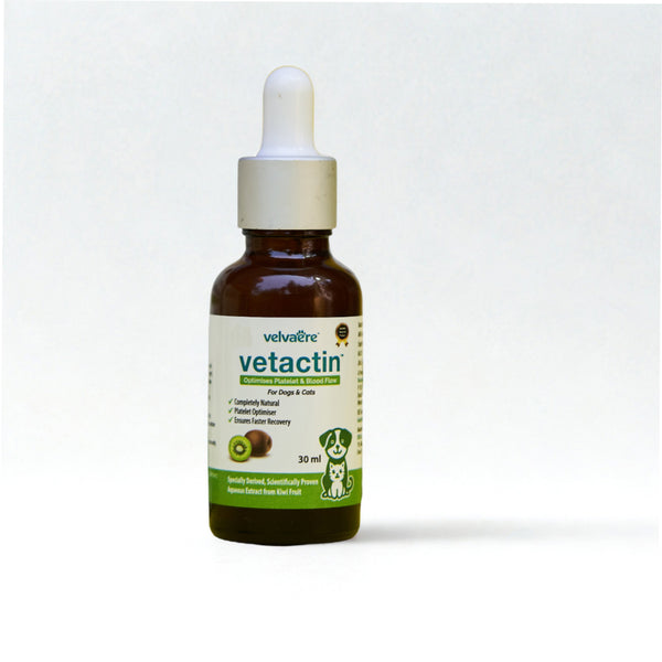 Velvaere Vetactin Syrup Optimizes Platelet & Blood Flow for Dogs & Cats (30ml)