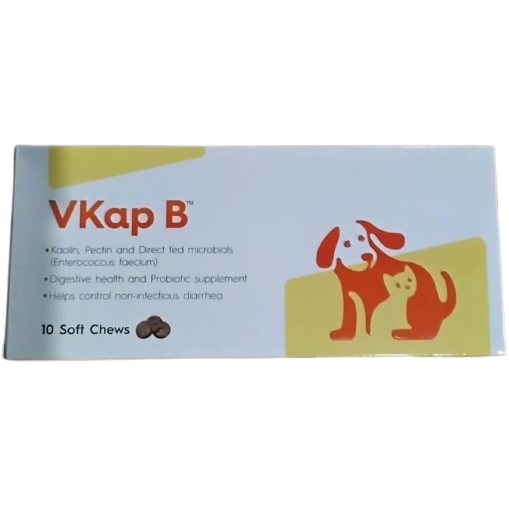 Vvaan Vkap B Digestive & Probiotics Supplements for Dogs & Cats (10 tablets) Both-Pharmacy Vvaan Pharmacy 1 Strip (10 Tablets)