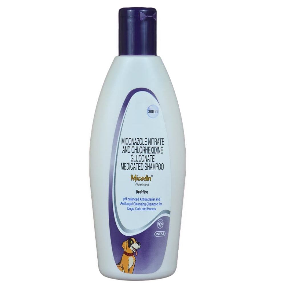 Intas Micodin Shampoo