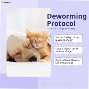 Savavet Kiwof Cat Deworming Tablet (pack of 10 tablets)