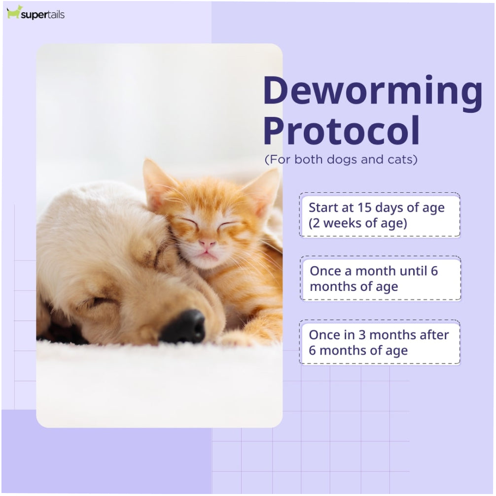 Neo Kumfurt Wormeez Tabet for Dogs Rewards Dogs-Pharmacy Neo Kumfurt Pharmacy