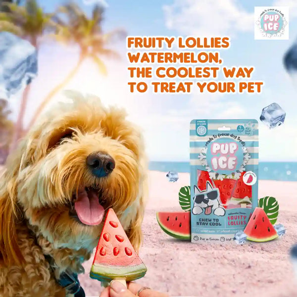 Pup Ice Watermelon Flavoured Fruity Lollies Dog Treat
