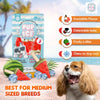 Pup Ice Watermelon Flavoured Fruity Lollies Dog Treat Dog Treats + Others Pup Ice