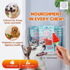 Pup Ice Watermelon Flavoured Fruity Lollies Dog Treat Dog Treats + Others Pup Ice