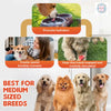 Pup Ice Strawberry Flavoured Waffle Cones Dog Treat Dog Treats + Others Pup Ice