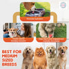 Pup Ice Vanilla and Peanut Butter Flavoured Waffle Cones Dog Treat Dog Treats + Others Pup Ice