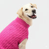 Skatrs Hot Pink Sweater For Dogs and Cats Both-Clothing & Accessories Skatrs