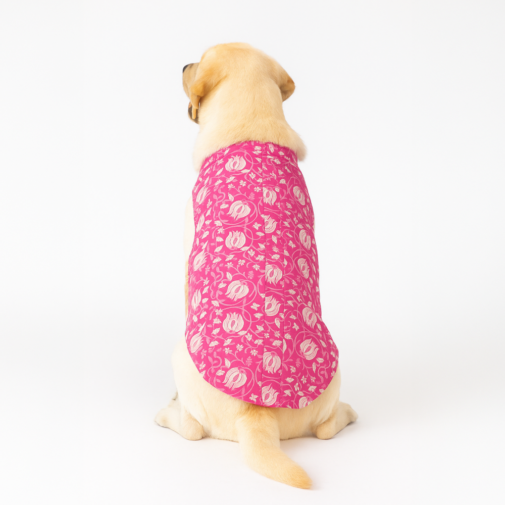 Skatrs Petal Charm Kurta for Dogs and Cats (Pink) Both-Clothing & Accessories Skatrs