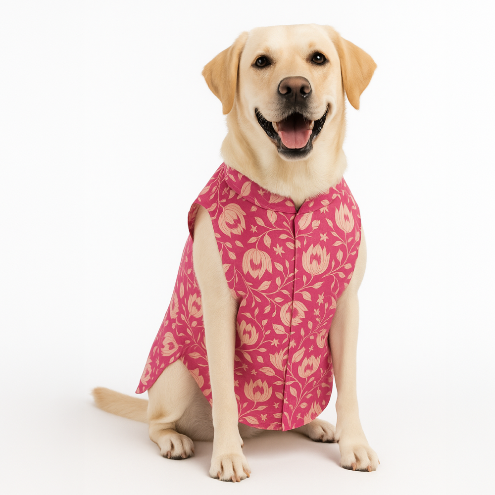 Skatrs Petal Charm Kurta for Dogs and Cats (Pink) Both-Clothing & Accessories Skatrs XS