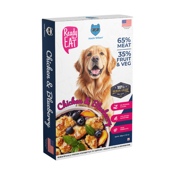 Hachi Wilson Chicken and Blueberry Ready to Eat Fresh & Wet Food for Dogs and Puppies