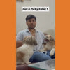 FloofYou Air Dried Chicken Feet Grain Free Chew Dog Treats Dog Treats + Others FloofYou