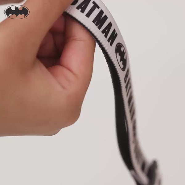Warner Bros Batman Collar for Dogs and Cats