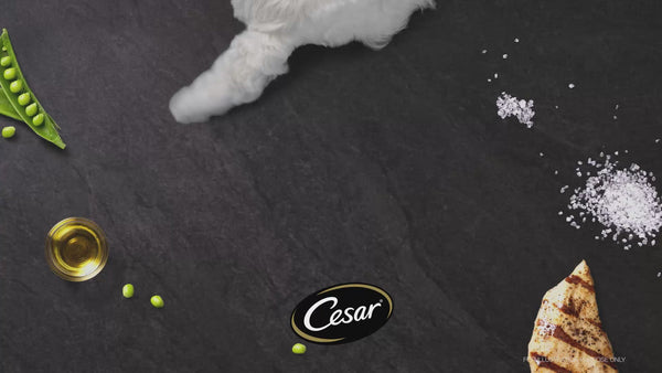 Cesar Sasami & Vegetables Premium Adult Dog Wet Food