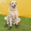 Protex PawZ Disposable and Reusable Boots for Dogs (Purple) Dogs-Clothing & Accessories PawZ
