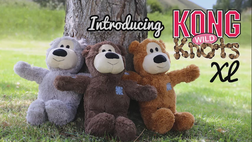 Kong Wild Knots Bear Toy for Dogs (White)