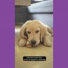 Floofyou Air Dried Goat Marrow Small Bone Dental Chew Dog Treats Dog Treats + Others FloofYou