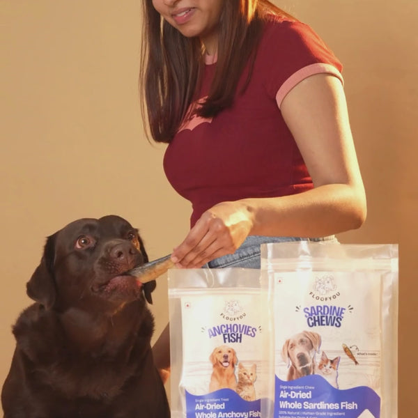 FloofYou Air Dried Whole Sardines Fish Dog & Cat Treats