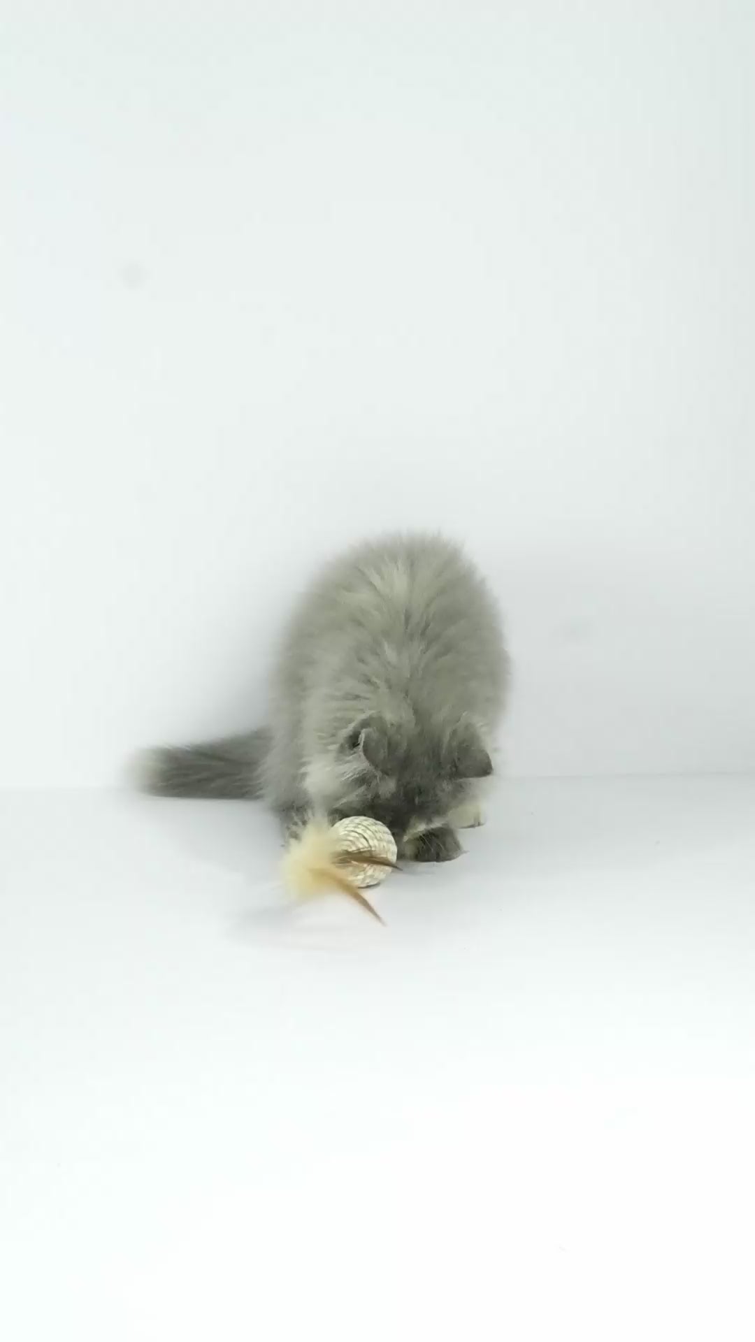 Trixie Matatabi Feather Game Toy for Cats