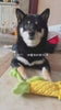 Barkbutler x Fofos Dental Corn Toy for Dogs Dogs-Toys Barkbutler