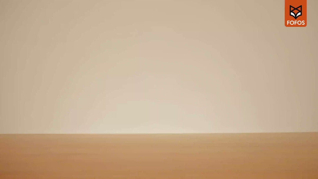 Barkbutler x Fofos Woodplay Brush Bone Toy for Dogs | For Chewers (Brown) Dogs-Toys Barkbutler