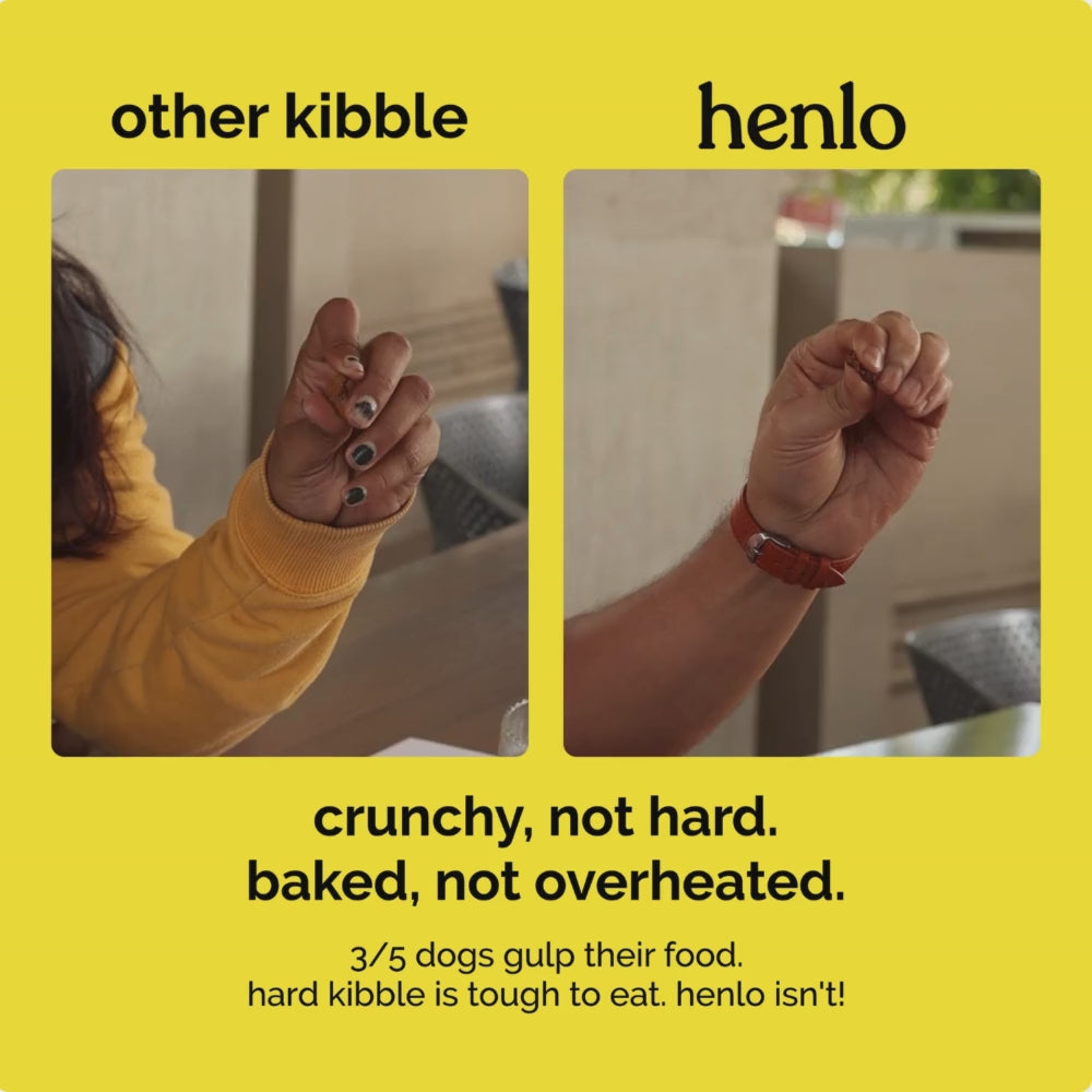 Henlo Chicken & Vegetable Baked Puppy Dog Dry Food | 100% Human Grade Ingredients