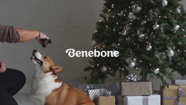 Benebone Chicken Flavored Zaggler Chew Toy  for Dogs
