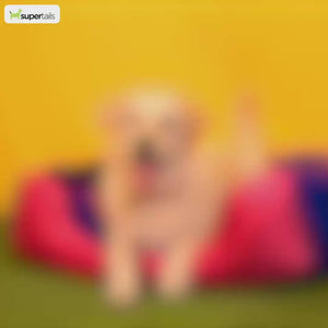 Trixie Pet&