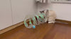 Barkbutler x Fofos Safari Spiral Tunnel Toy for Cats Cats-Toys Barkbutler