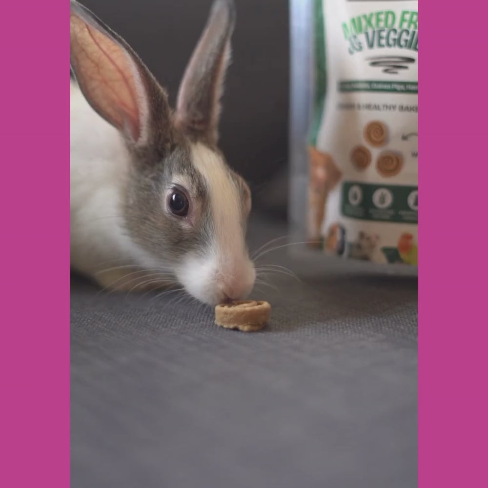 FloofYou Oven Baked Carrot Beetroot Rabbit Treats Rabbits FloofYou