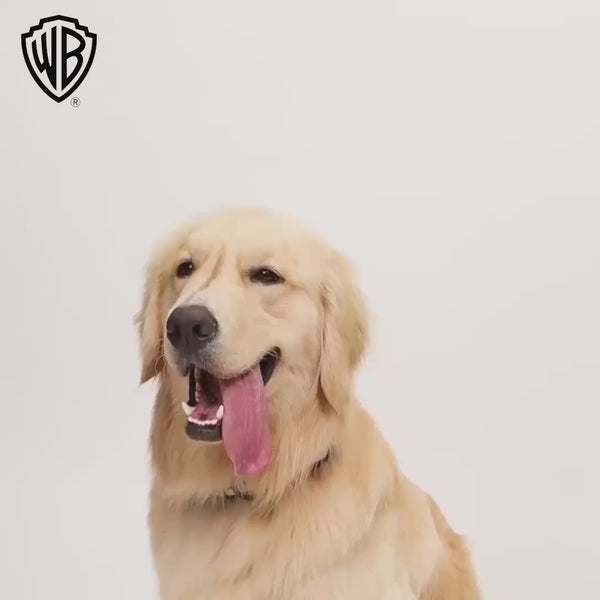 Warner Bros Batman Plush Toy for Dogs and Cats