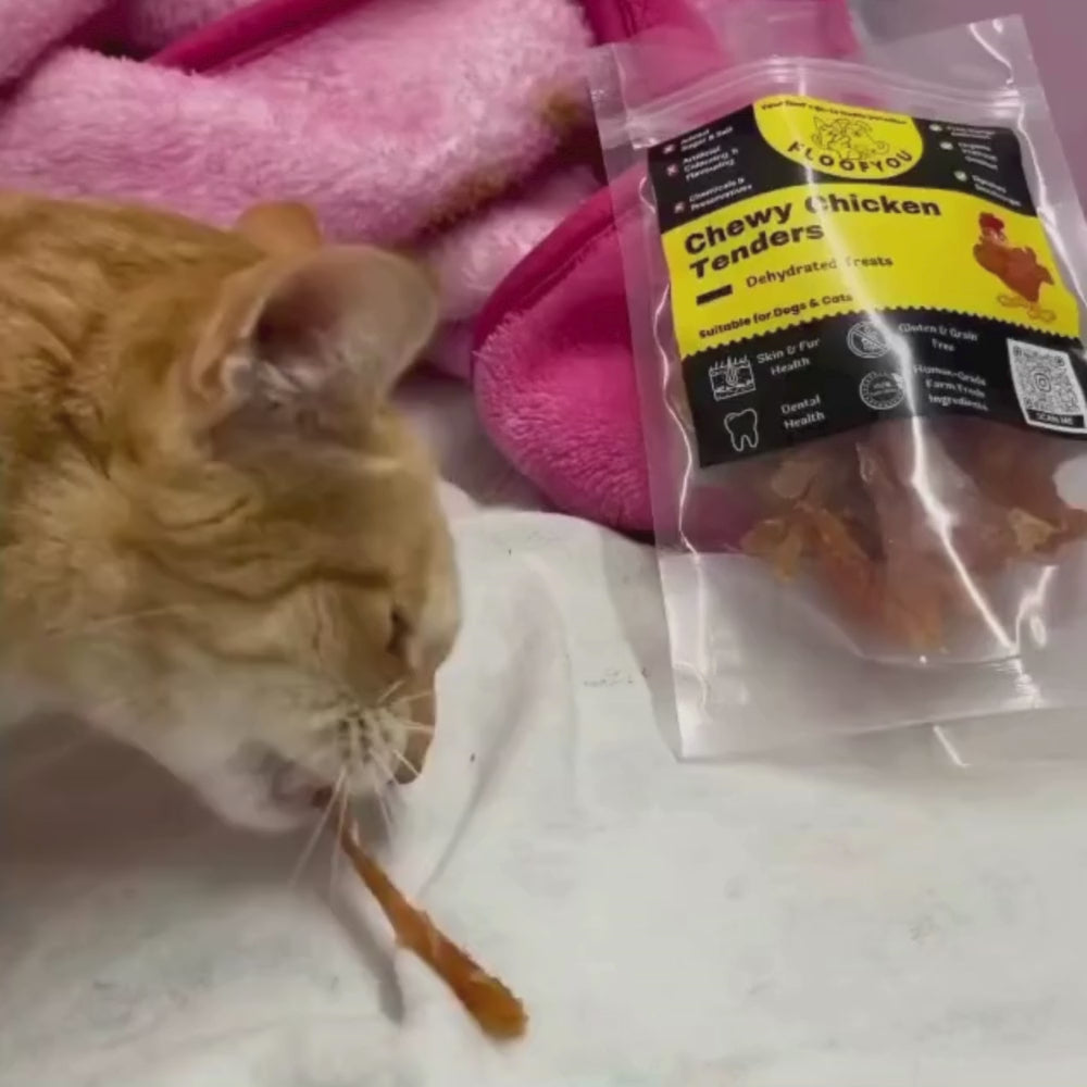 FloofYou Air Dried Chewy Chicken Tender Dogs & Cats Treat Dog Treats + Others FloofYou