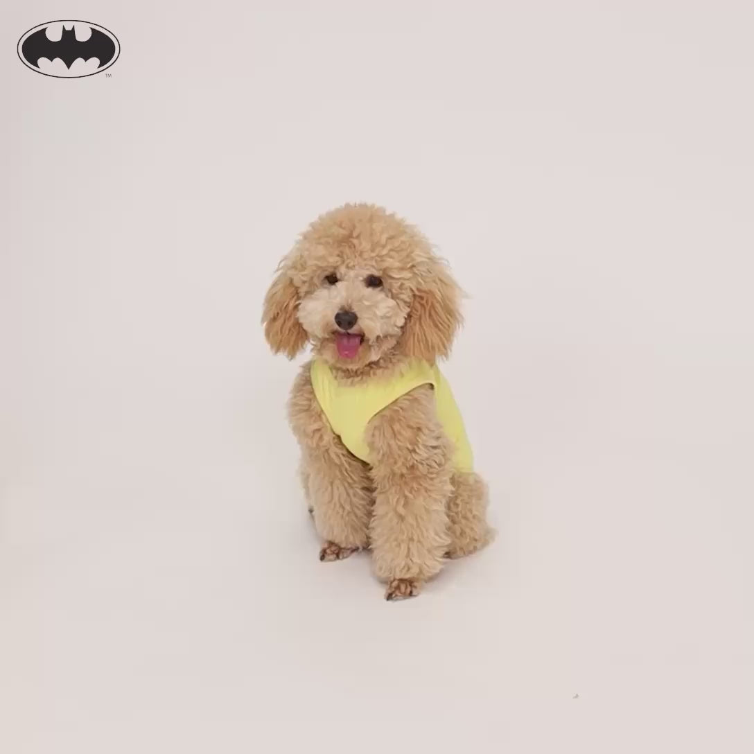 Warner Bros Batman T Shirt for Dogs and Cats (Yellow) Dogs-Clothing & Accessories Warner Bros