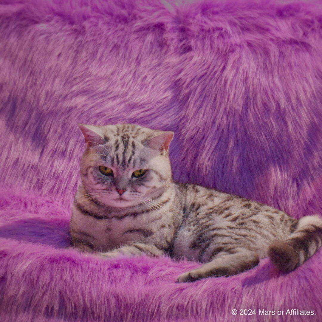 Whiskas Chicken With Tuna And Carrot in Gravy Tasty Mix Adult Cat Wet Food