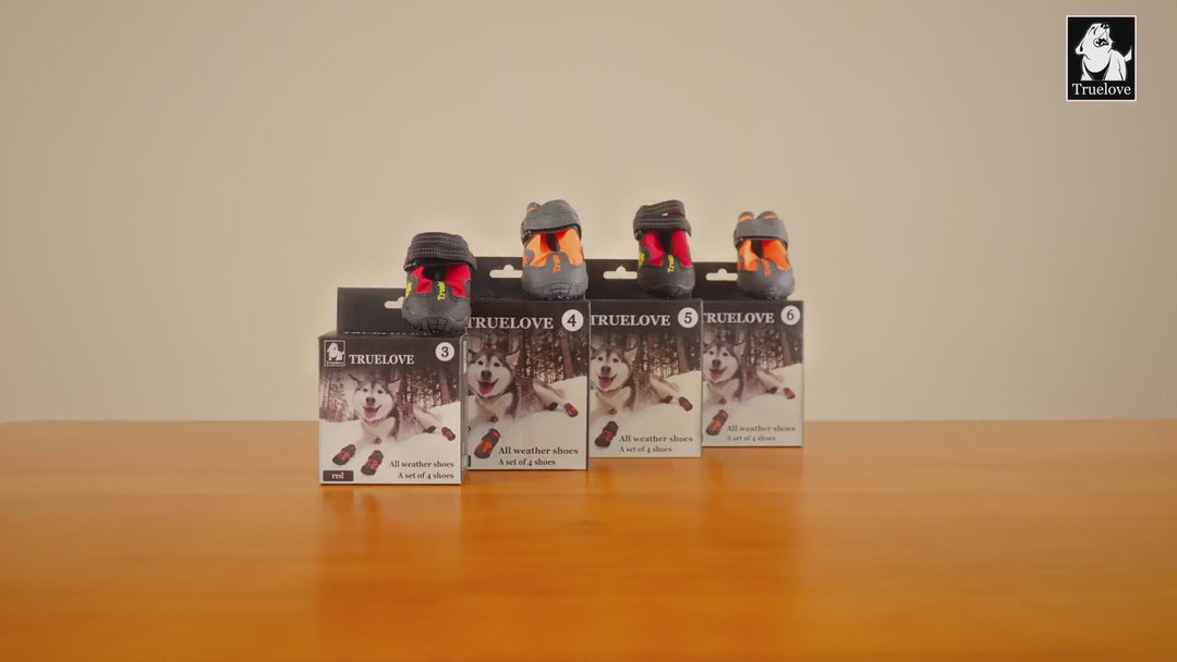 Truelove Waterproof Pet Boots for Dogs (Black, Set of 4) Dogs-Clothing & Accessories True Love