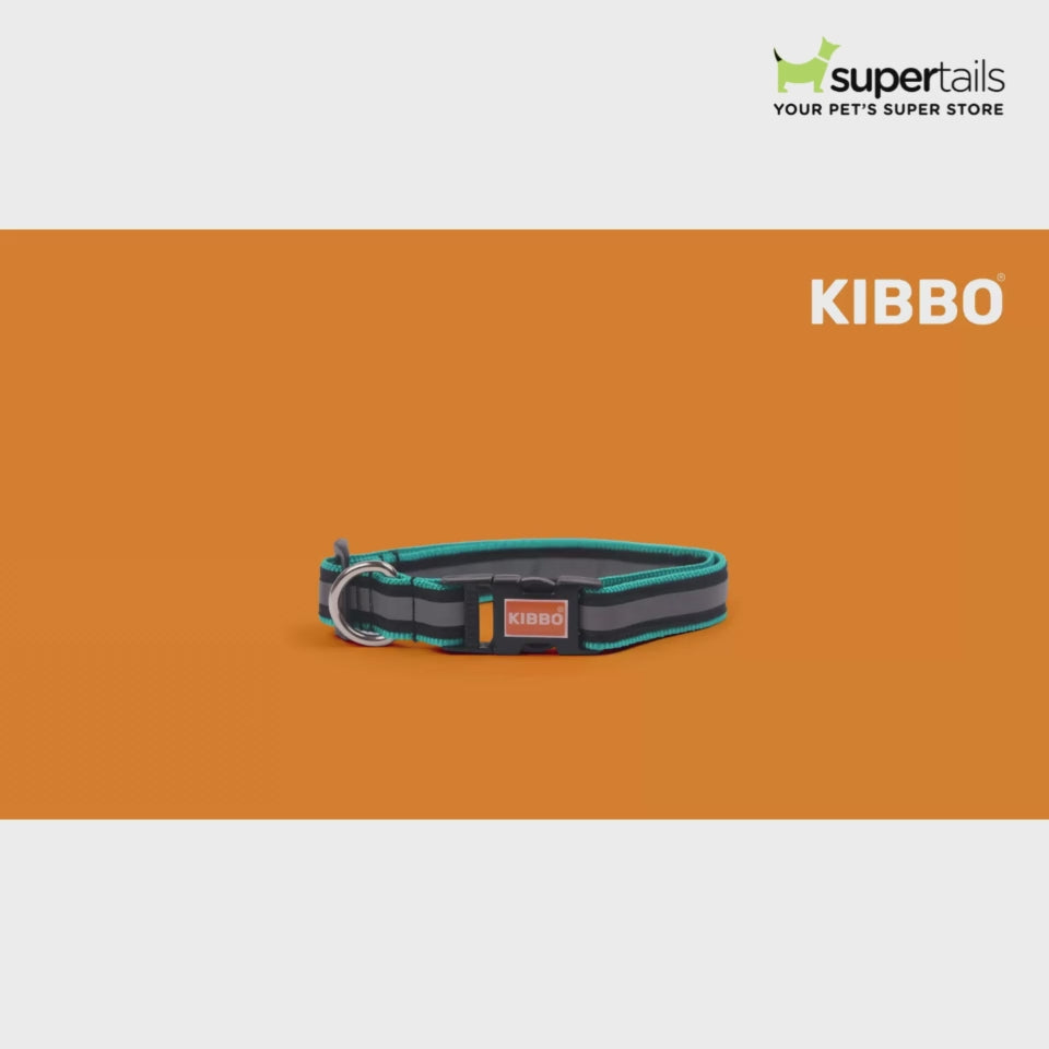 Kibbo Premium Nylon Collar with Buckle and D Ring for Dogs (Red,Sea Green/Pack of 3)