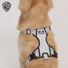 Warner Bros Batman Harness for Dogs and Cats Both-Collar, Leashes, harnesses Warner Bros