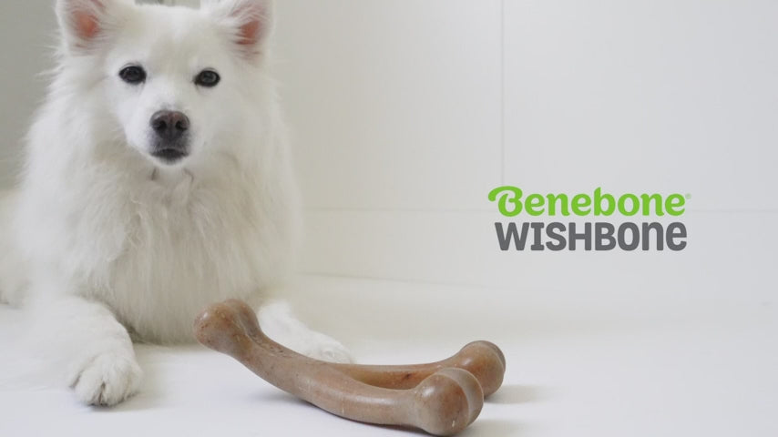 Benebone Bacon Flavored Wishbone Chew Toy for Dogs
