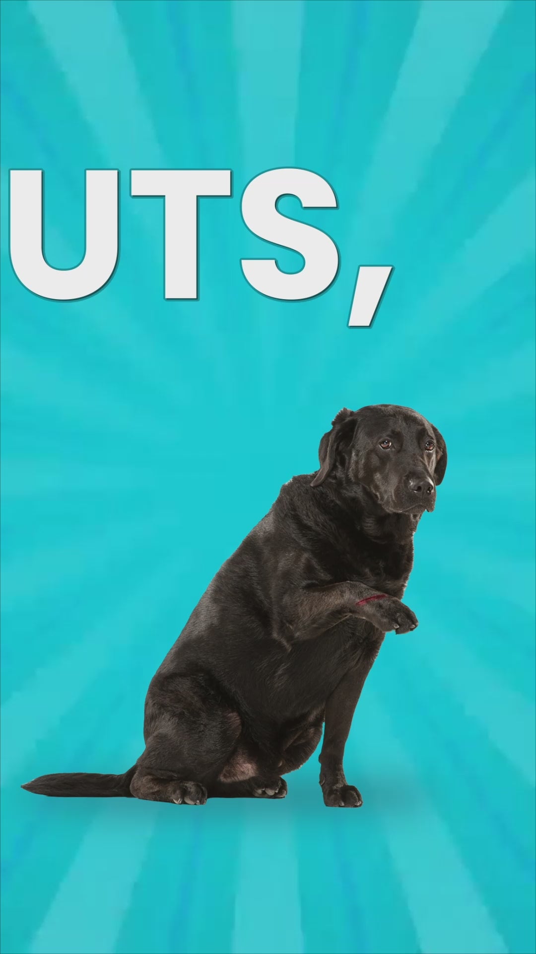 Bark Out Loud Anti Microbial Skin Spray for Dogs and Cats Both-Health & Wellness Bark Out Loud