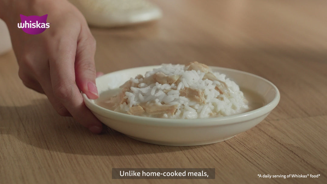 Whiskas Adult Complete Meal Combo |Tuna Dry & Wet Cat Food Cats- Dry food Whiskas