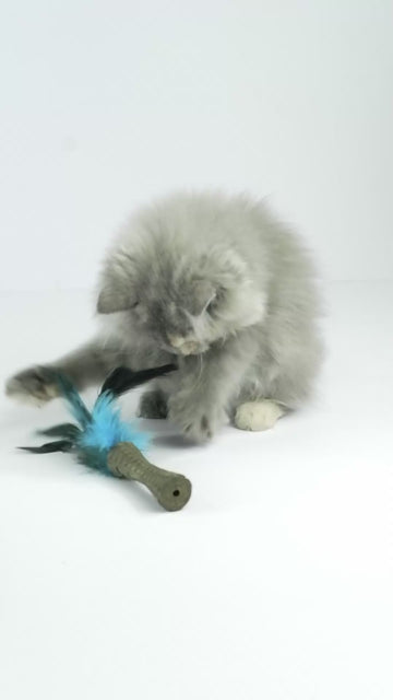 GiGwi Johnny Stick with Catnip & Natural Feathers Toy for Cats