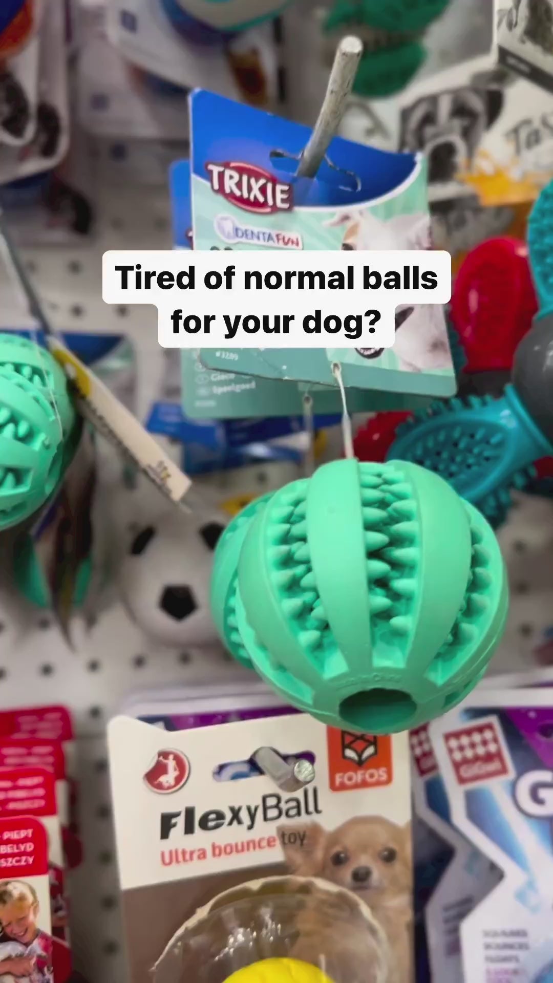Trixie Denta Fun Ball Mint Flavour Natural Rubber Toy for Dogs | For Medium Chewers Dogs-Toys Trixie