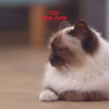 Royal Canin Sterilised/Neutered Gravy Adult Cat Wet Food Cats-Wet Food Royal Canin
