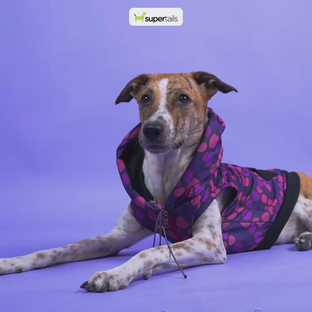 Skatrs Pebble Trio Breezy Vest for Cats & Dogs (Pink) Both-Clothing & Accessories Skatrs