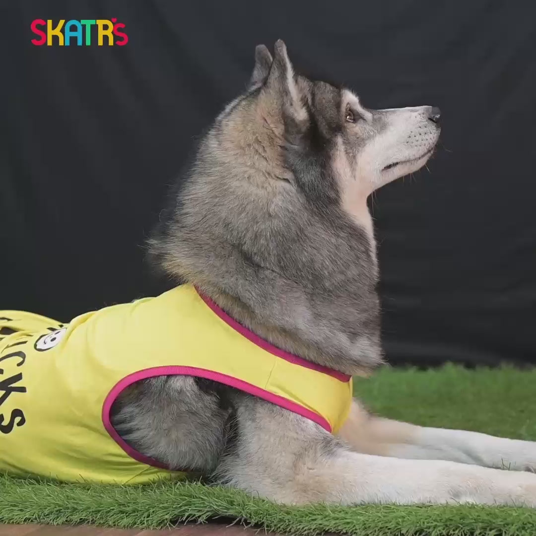 SKATRS Cotton Printed Dress for Dogs and Cats (Yellow)