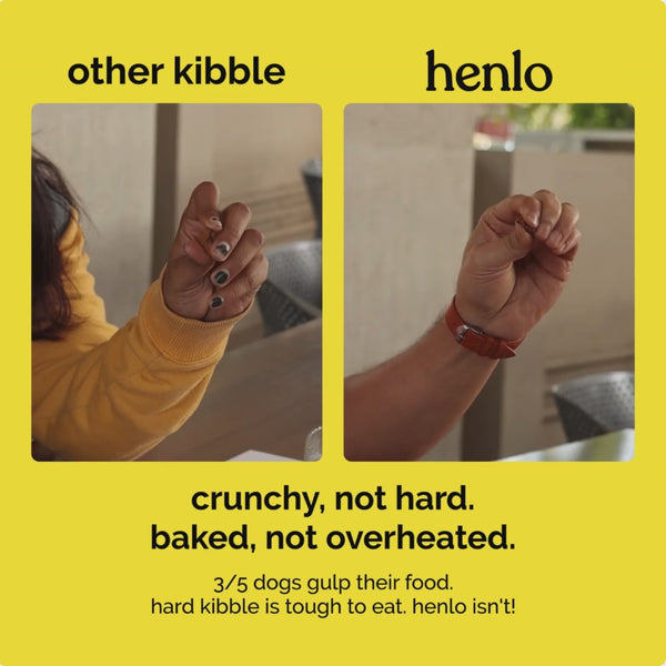Henlo Chicken and Egg Baked Dry Food for Adult Dogs & Puppies | 100% Human Grade Ingredients