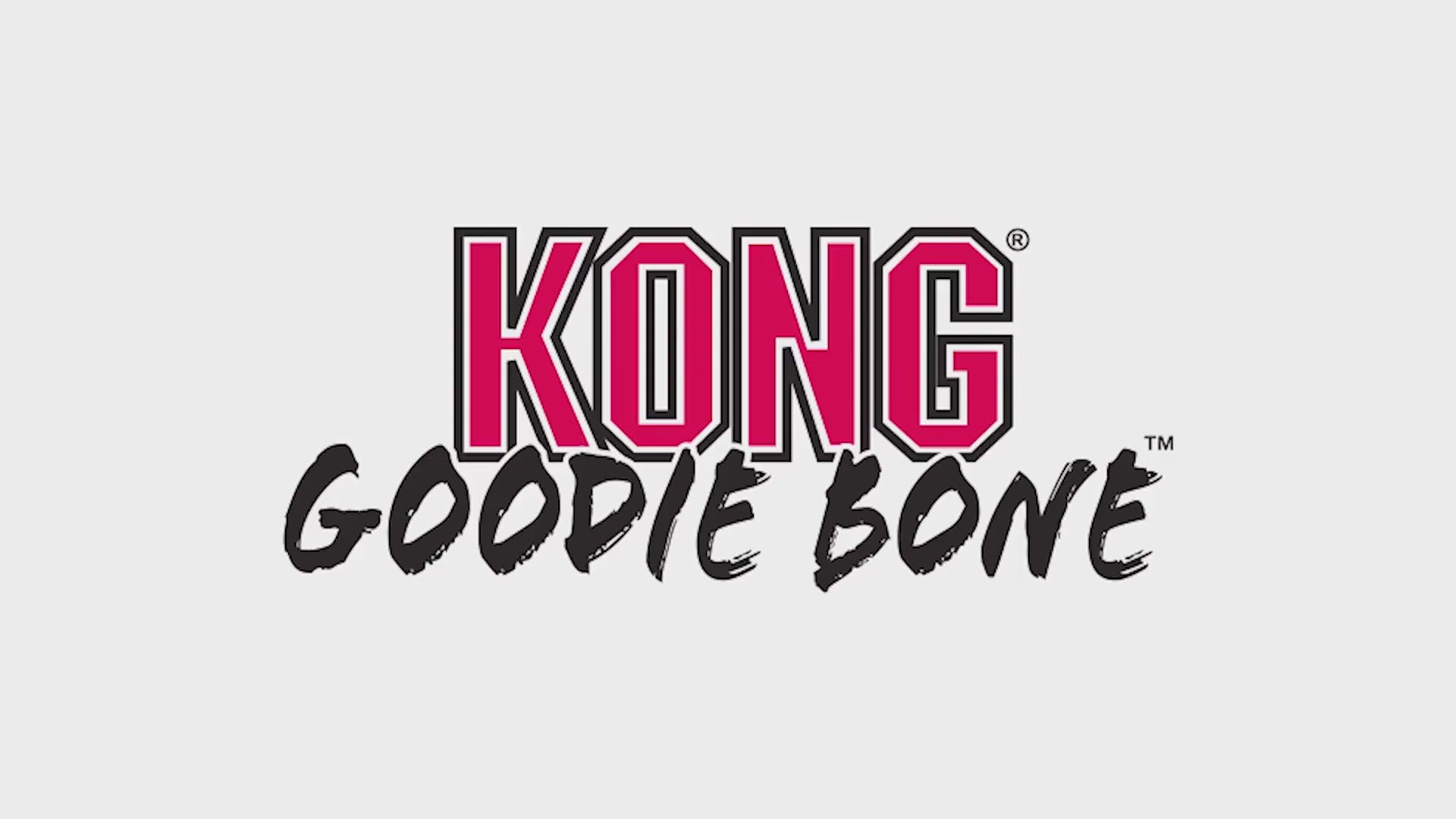 Kong Extreme Goodie Bone Toy for Dogs (Black) | For Aggressive Chewers